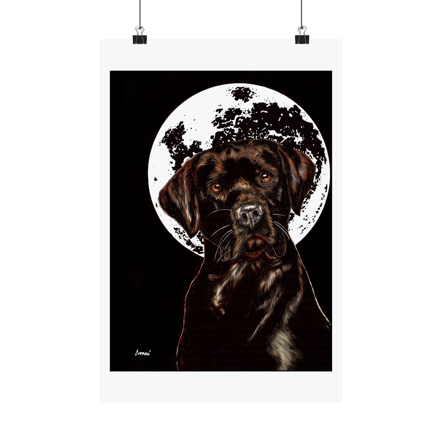 Chocolate Lab Dog Moonlight Satin Poster