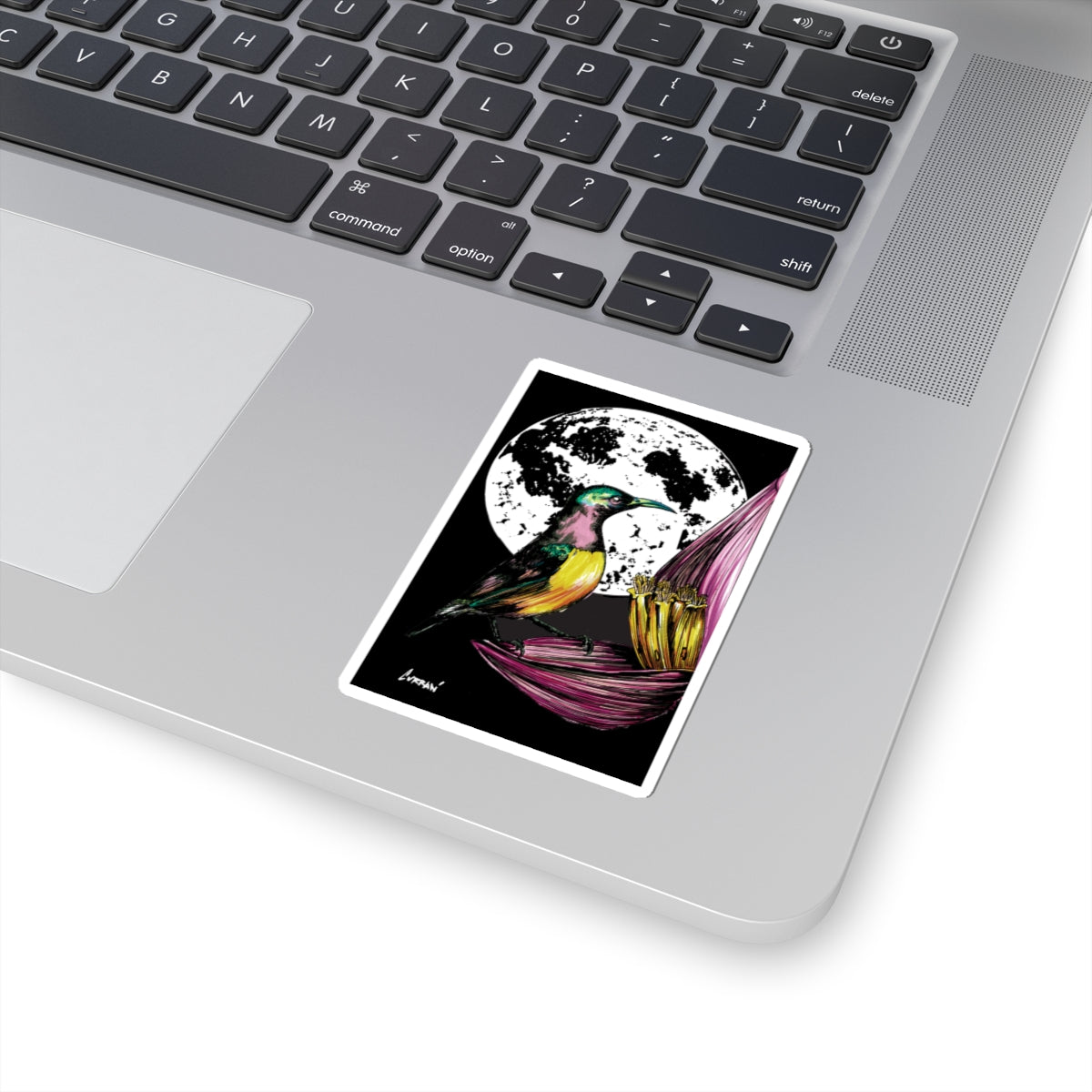 Vibrant Hummingbird Kiss-Cut Stickers - Botanical Moon Design