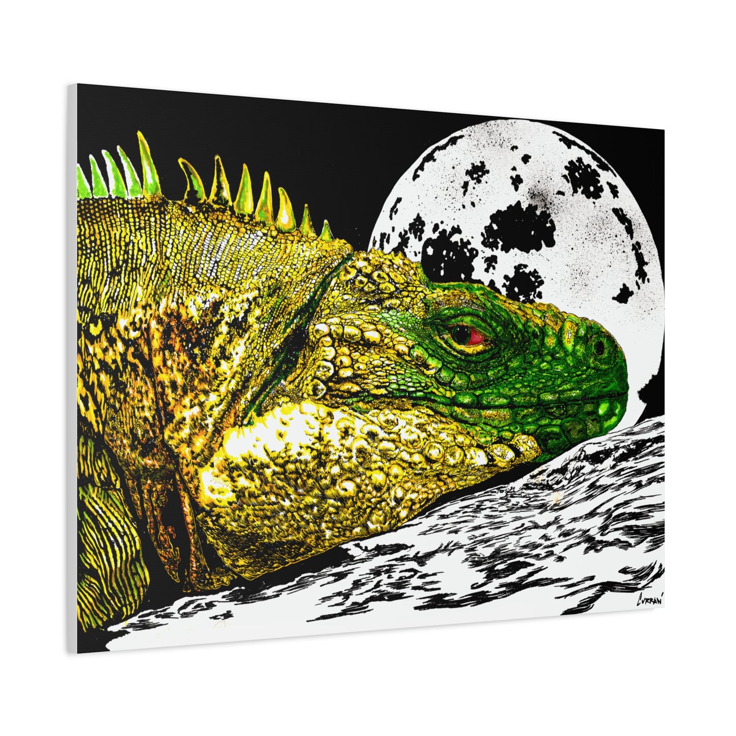 Reptile Art Print, Print of my Original hand drawn art printed on stretched canvas of a Reptile