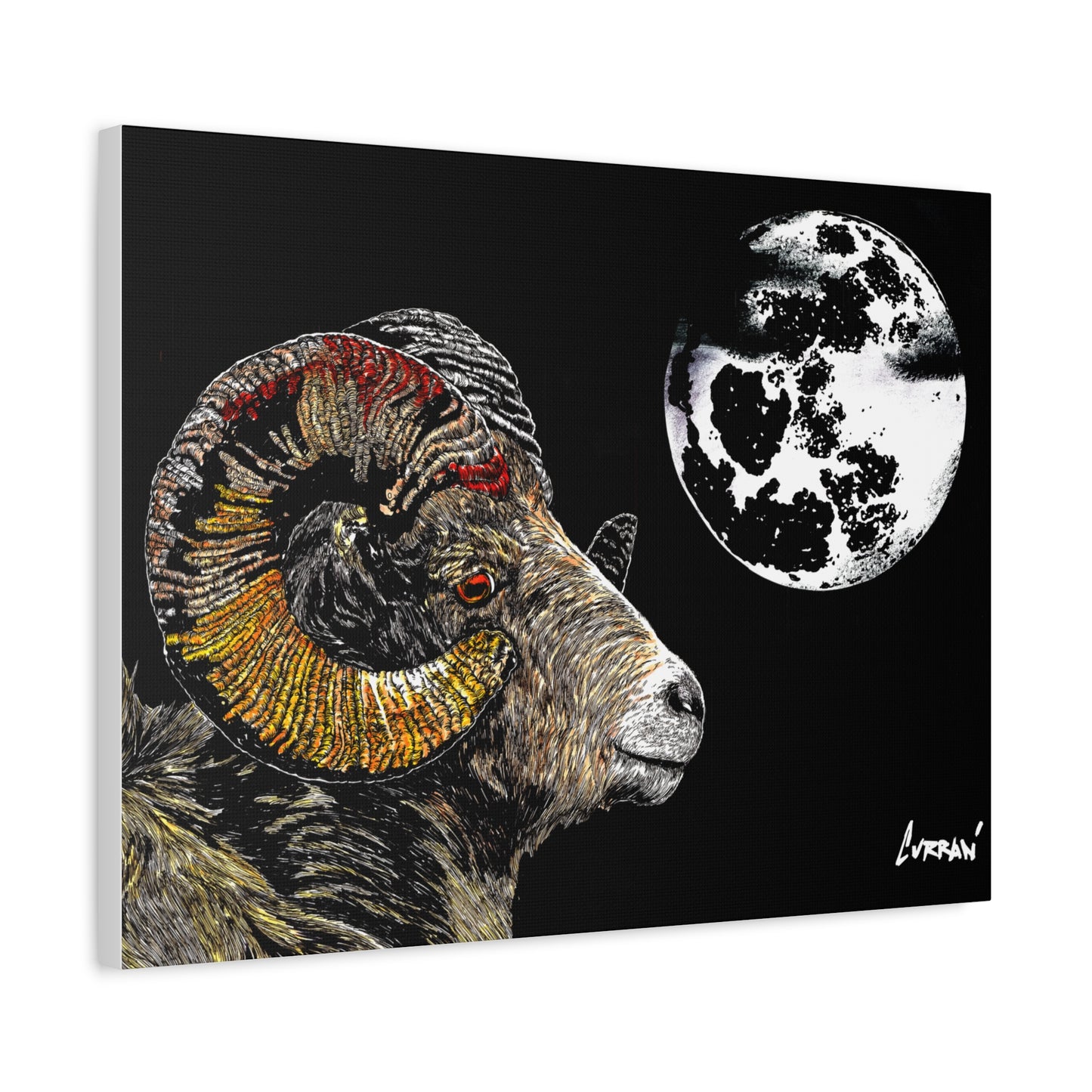 Mountain Ram Canvas Print - Art Print on Stretched Canvas