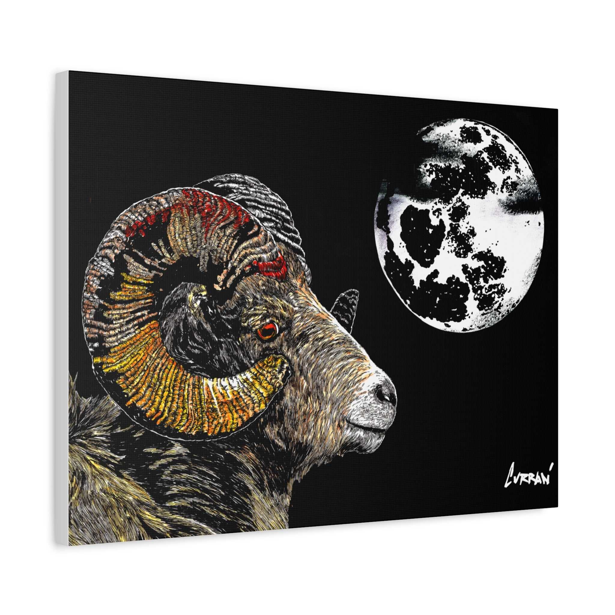 Mountain Ram Canvas Print - Art Print on Stretched Canvas