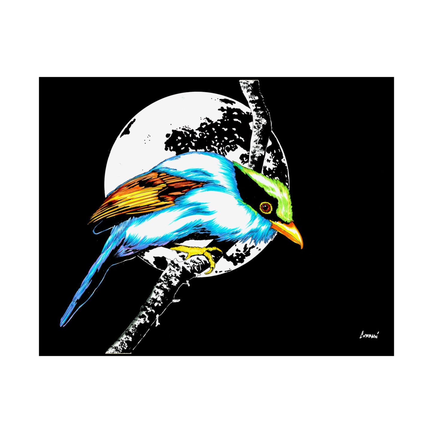 Vibrant Bird Satin Poster - 300gsm Wall Art Print for Nature Lovers