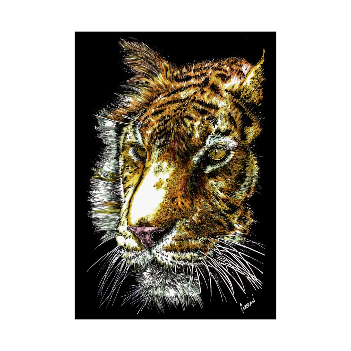 Majestic Tiger Satin Poster (300gsm) - Vibrant Wildlife Wall Art for Home Decor