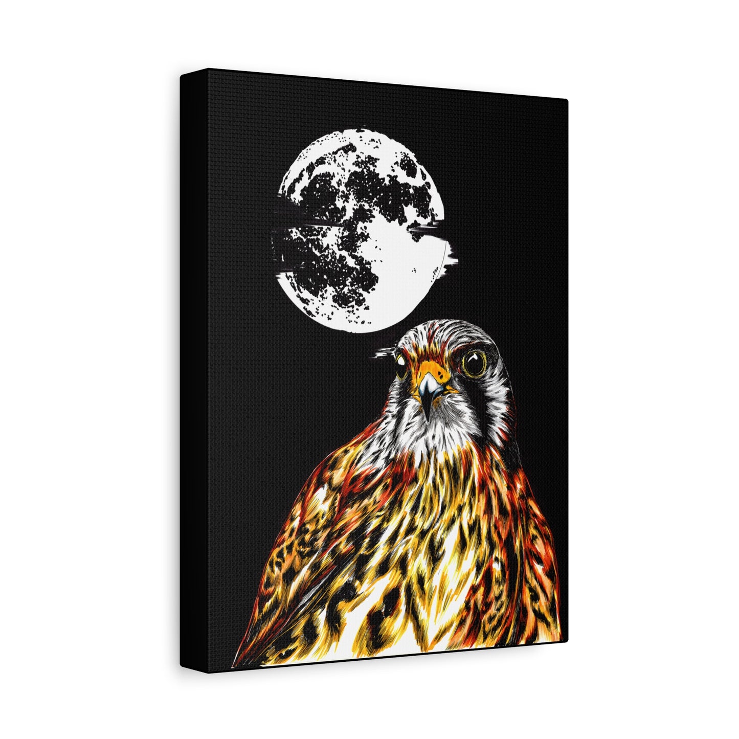 Falcon Wall Art, Falcon Print, Wildlife Art, Bird of Prey