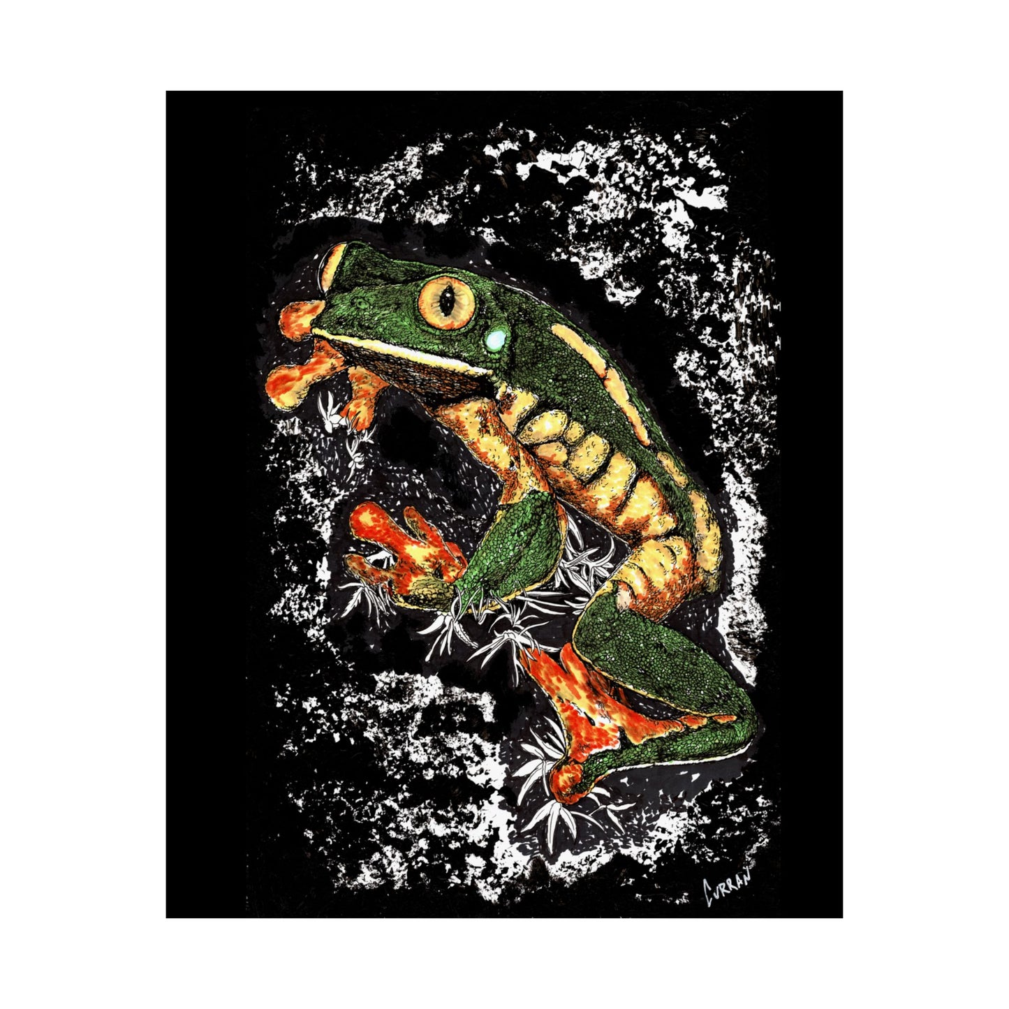 Vibrant Frog Satin Poster - 300gsm Art Print for Nature Lovers