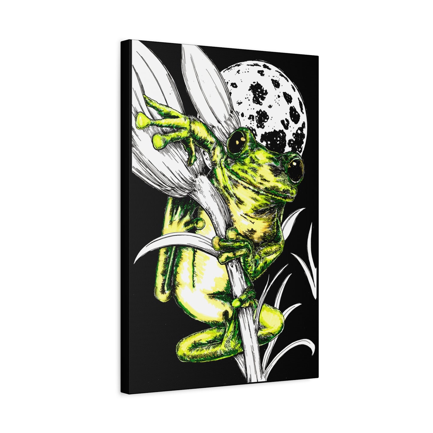 Frog 1 Wall Art Print of the Original, hand drawn wall art