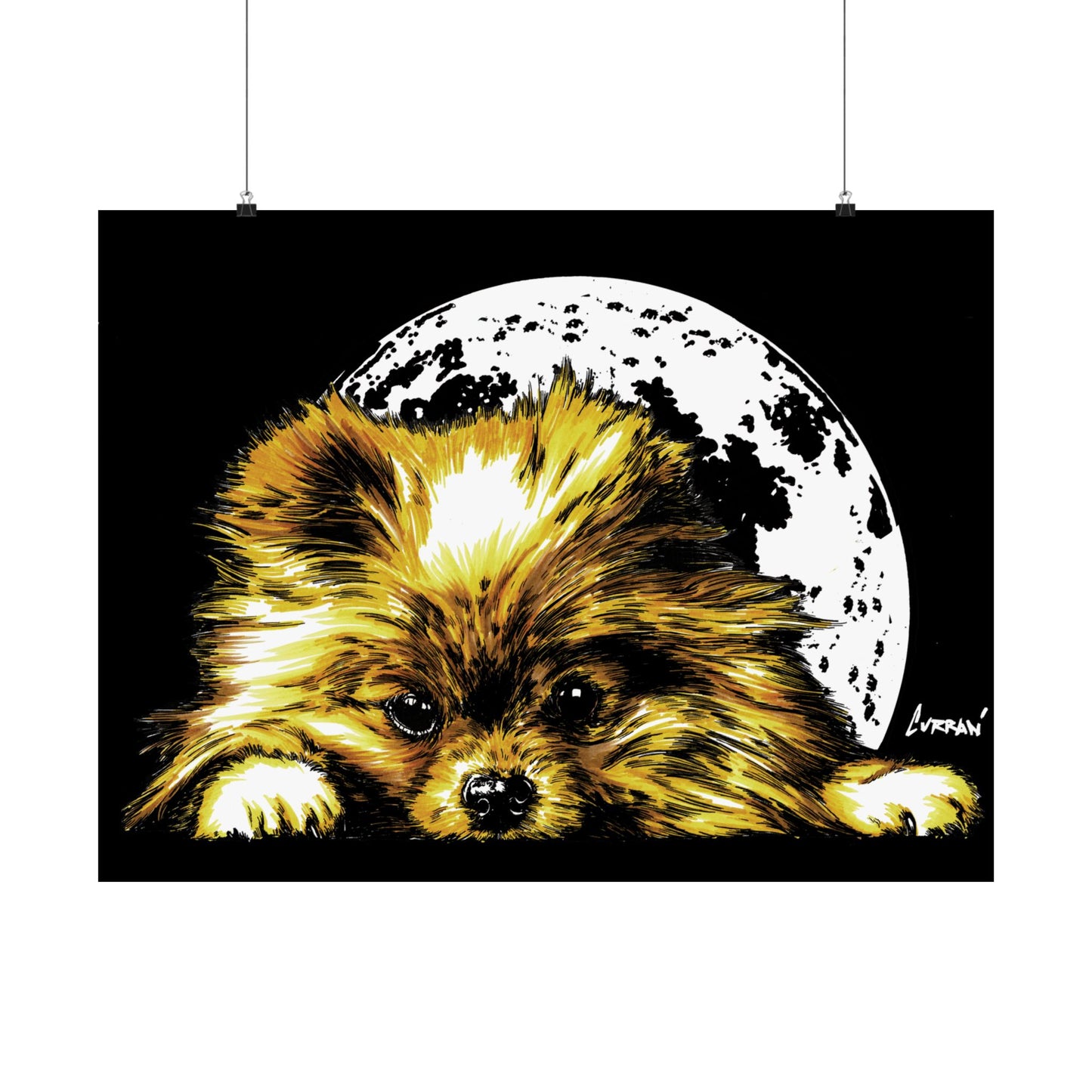 Beautiful Pomeranian Art Print - Satin Poster (300gsm)