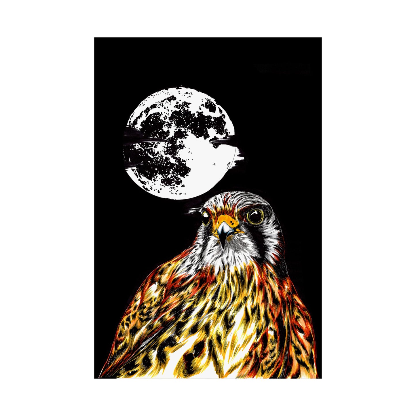 Wildlife Satin Poster - Majestic Falcon with Moon Design