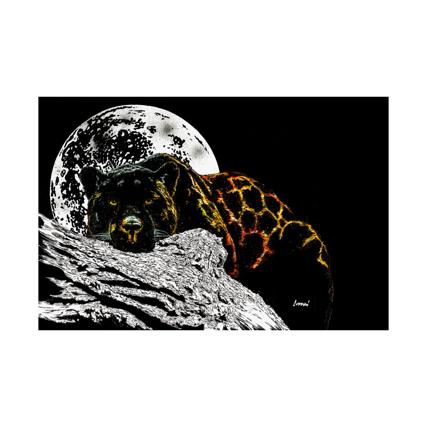 Majestic Bear Satin Poster - Night Moon Art Print (300gsm)