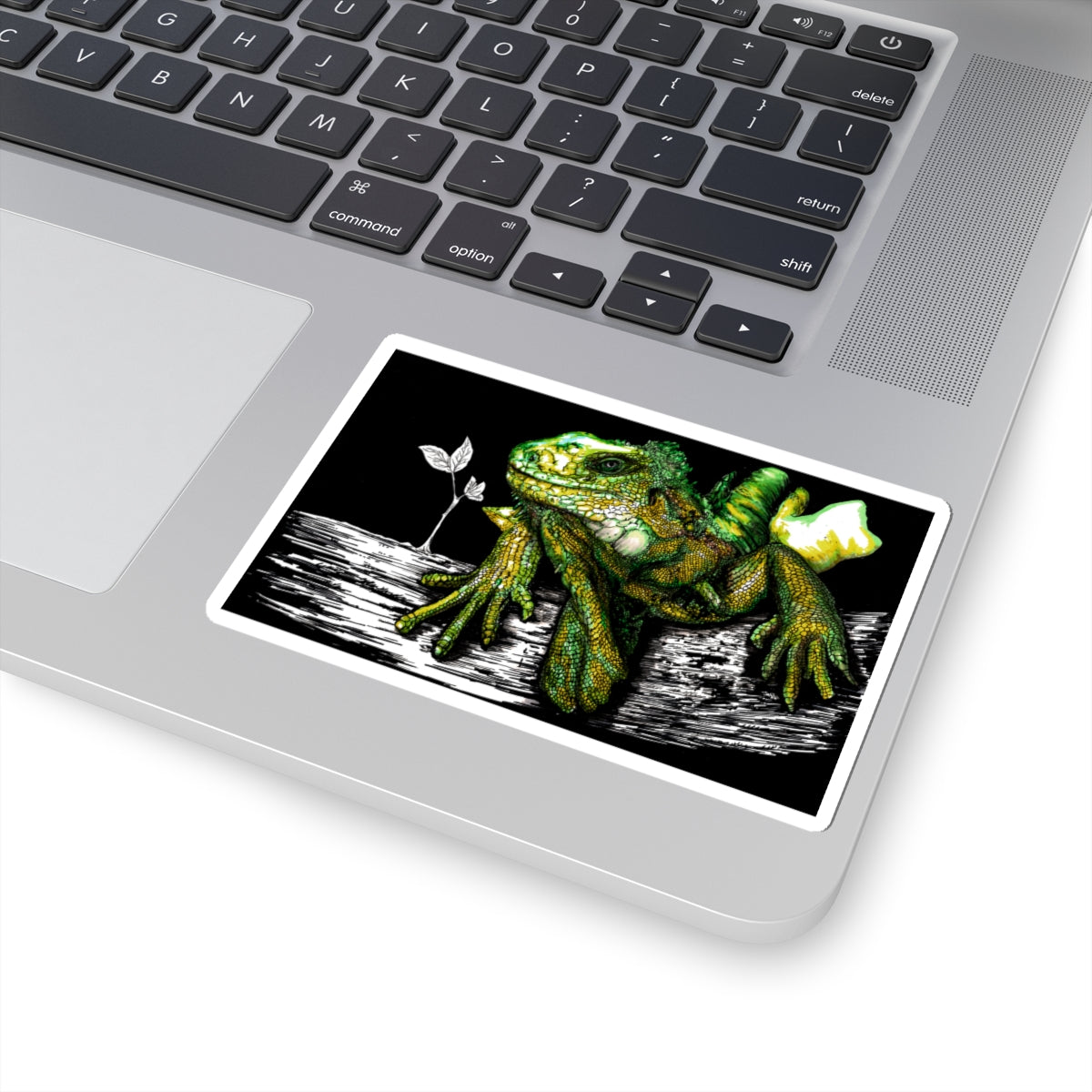 Colorful Iguana Kiss-Cut Stickers, Perfect for Laptops