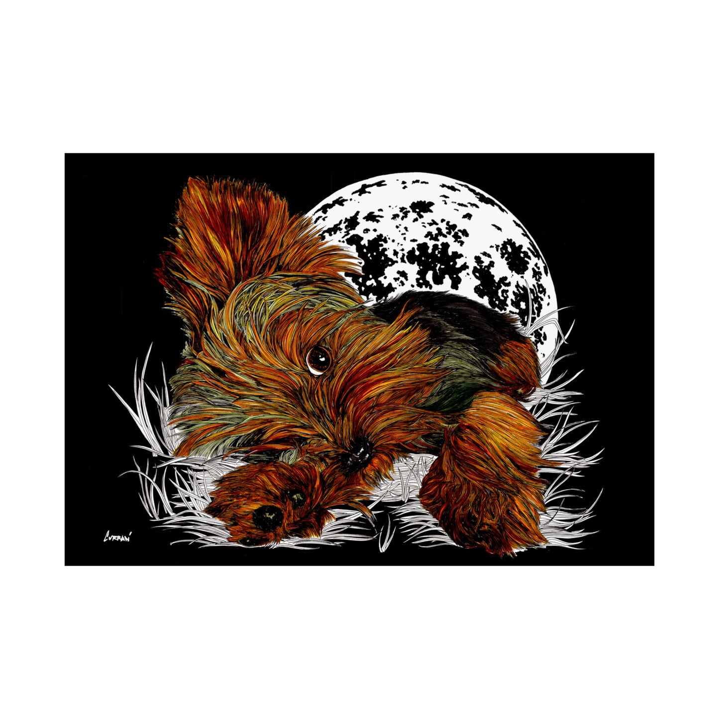 Yorkshire Terrier Satin Poster - 300gsm Art Print for Dog Lovers