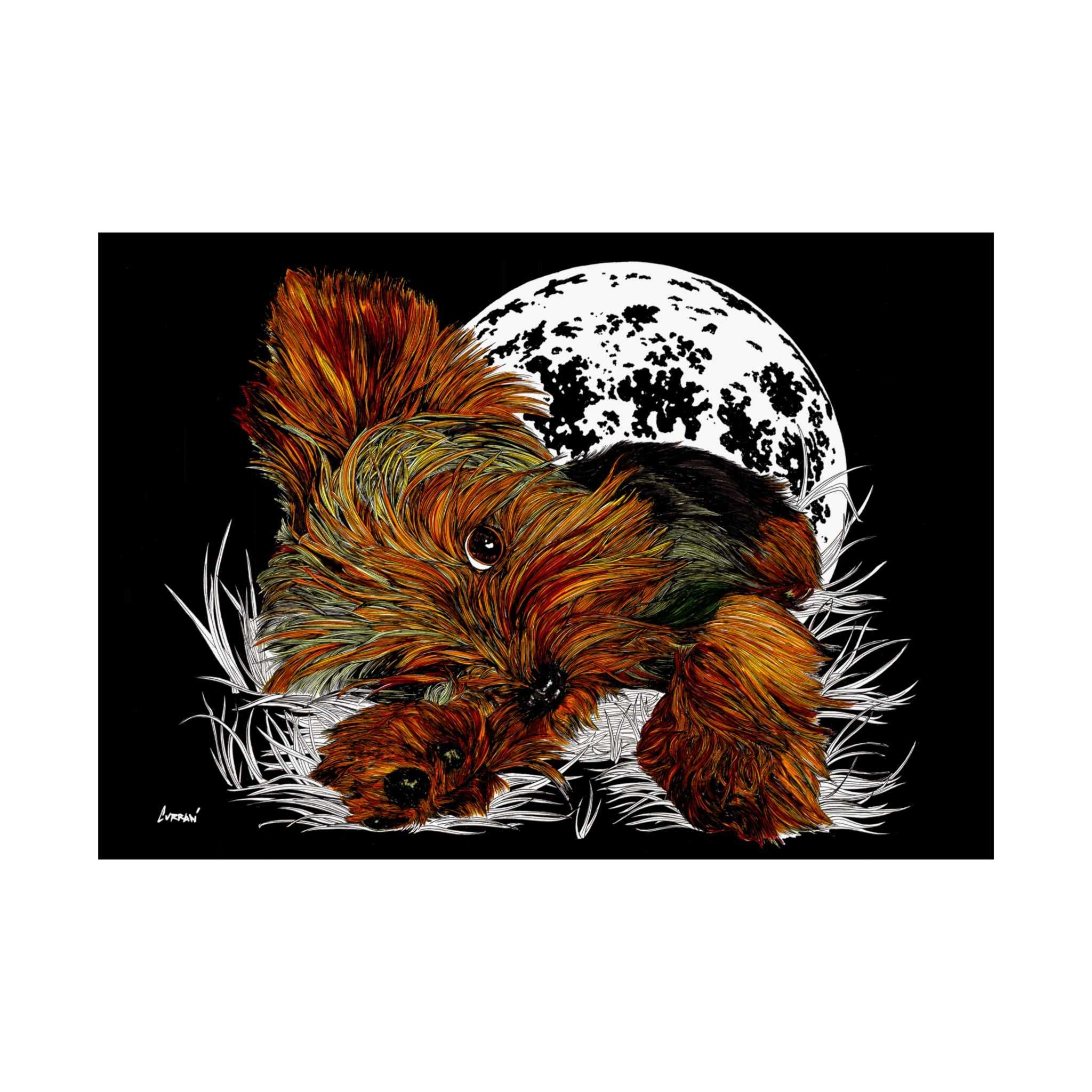 Elevate your walls with our Yorkshire Terrier Satin Poster - 300gsm Art Print for Dog Lovers. Perfect for any pup enthusiast!