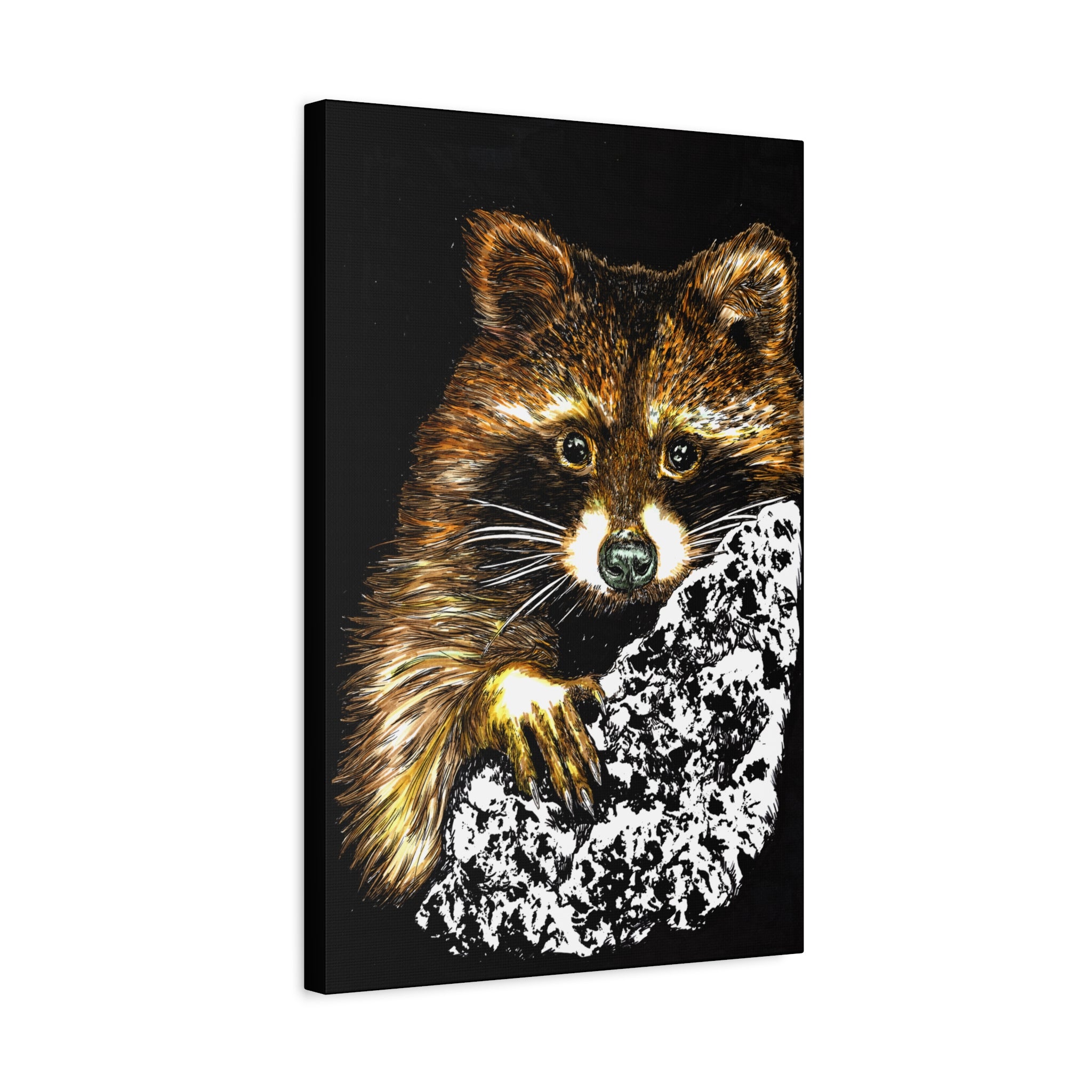 Raccoon in Tree Wall Art Canvas Print of the Original, hand drawn animal wall art poster of a Raccoon in a Tree by artist Kris Curran at Curran Artworks.