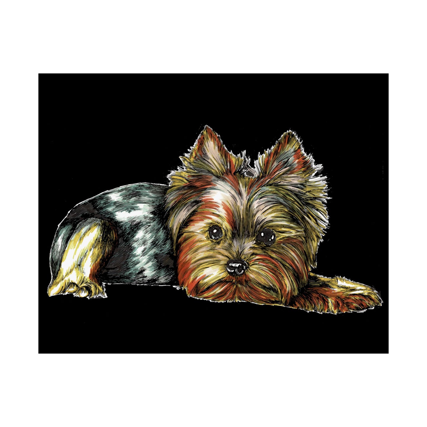 Yorkshire Terrier Satin Poster