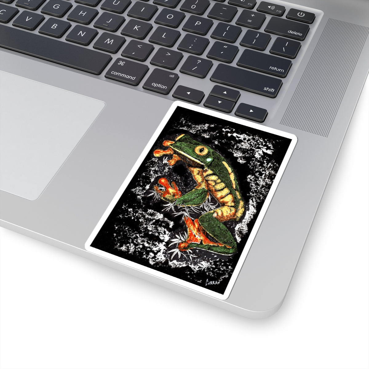 Vibrant Frog Kiss-Cut Stickers | Nature-Inspired Artwork,