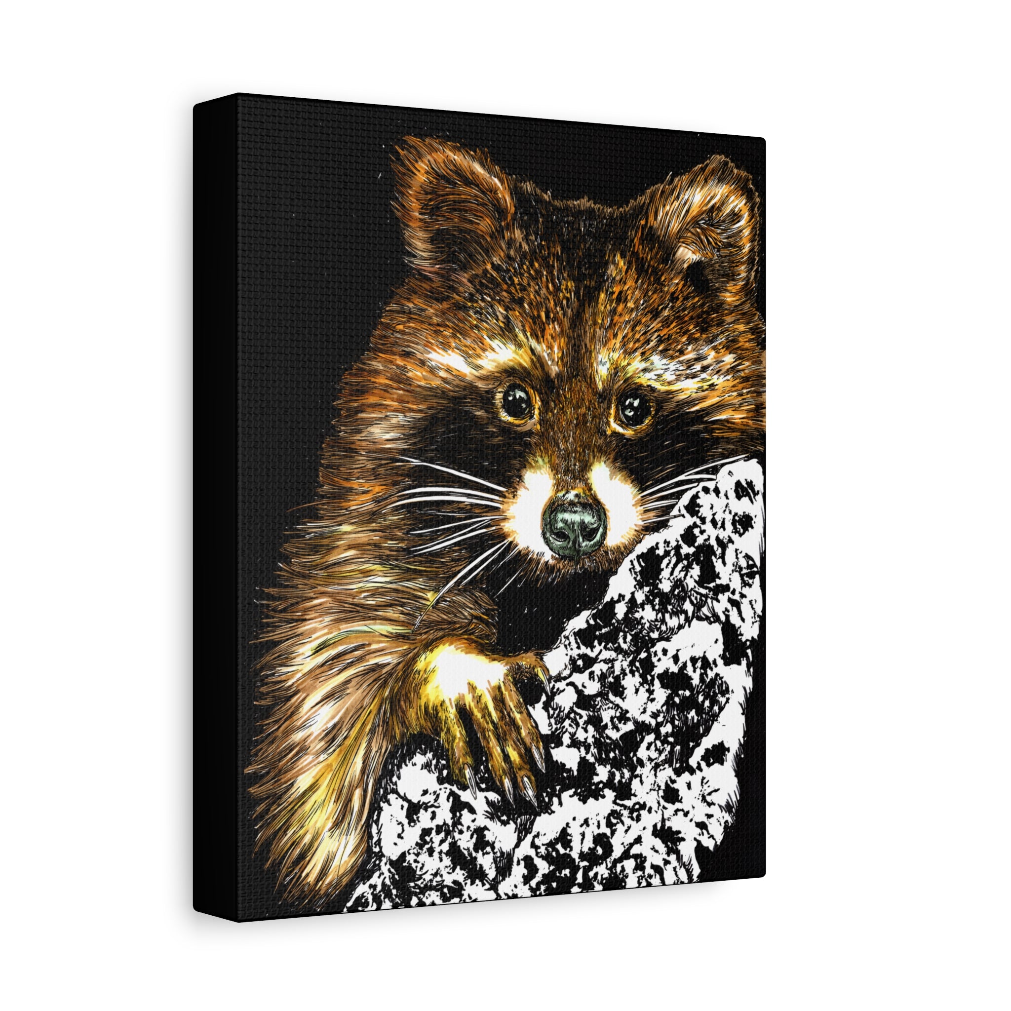 Raccoon in Tree Wall Art Canvas Print of the Original, hand drawn animal wall art poster of a Raccoon in a Tree by artist Kris Curran at Curran Artworks.