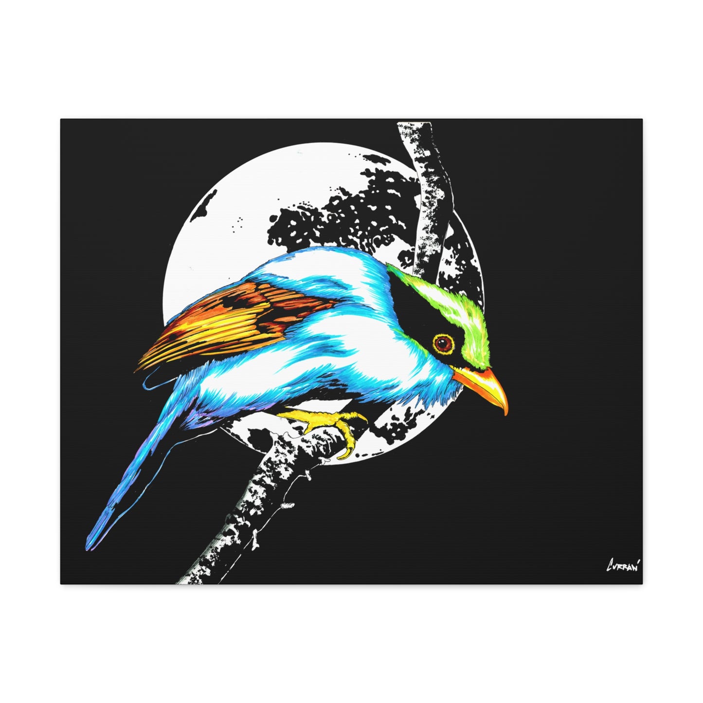 Exotic Bird Canvas Art – Original Hand-Drawn Vibrant,