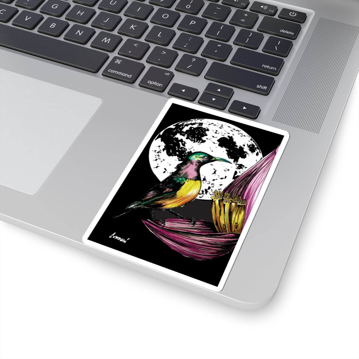 Vibrant Hummingbird Kiss-Cut Stickers - Botanical Moon Design