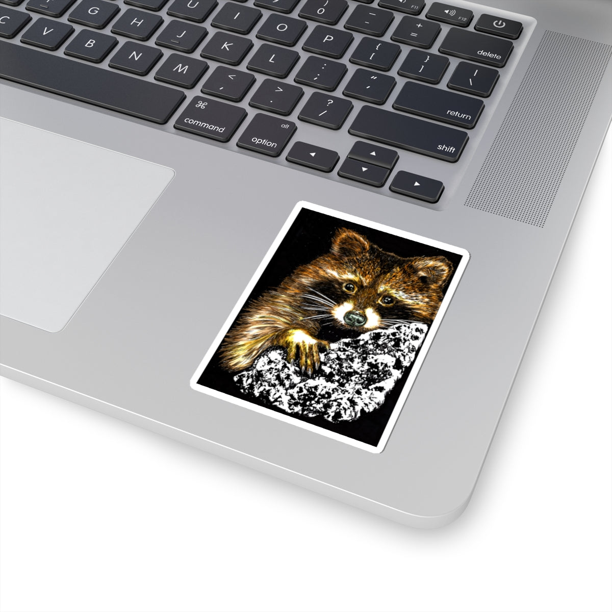Raccoon Stickers