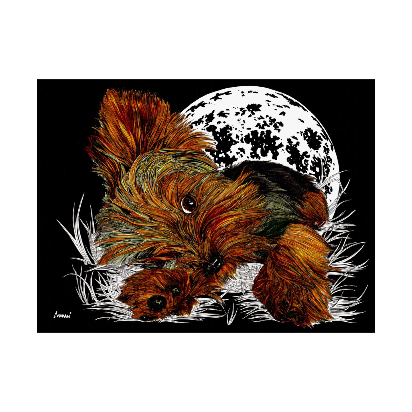 Yorkshire Terrier Satin Poster - 300gsm Art Print for Dog Lovers