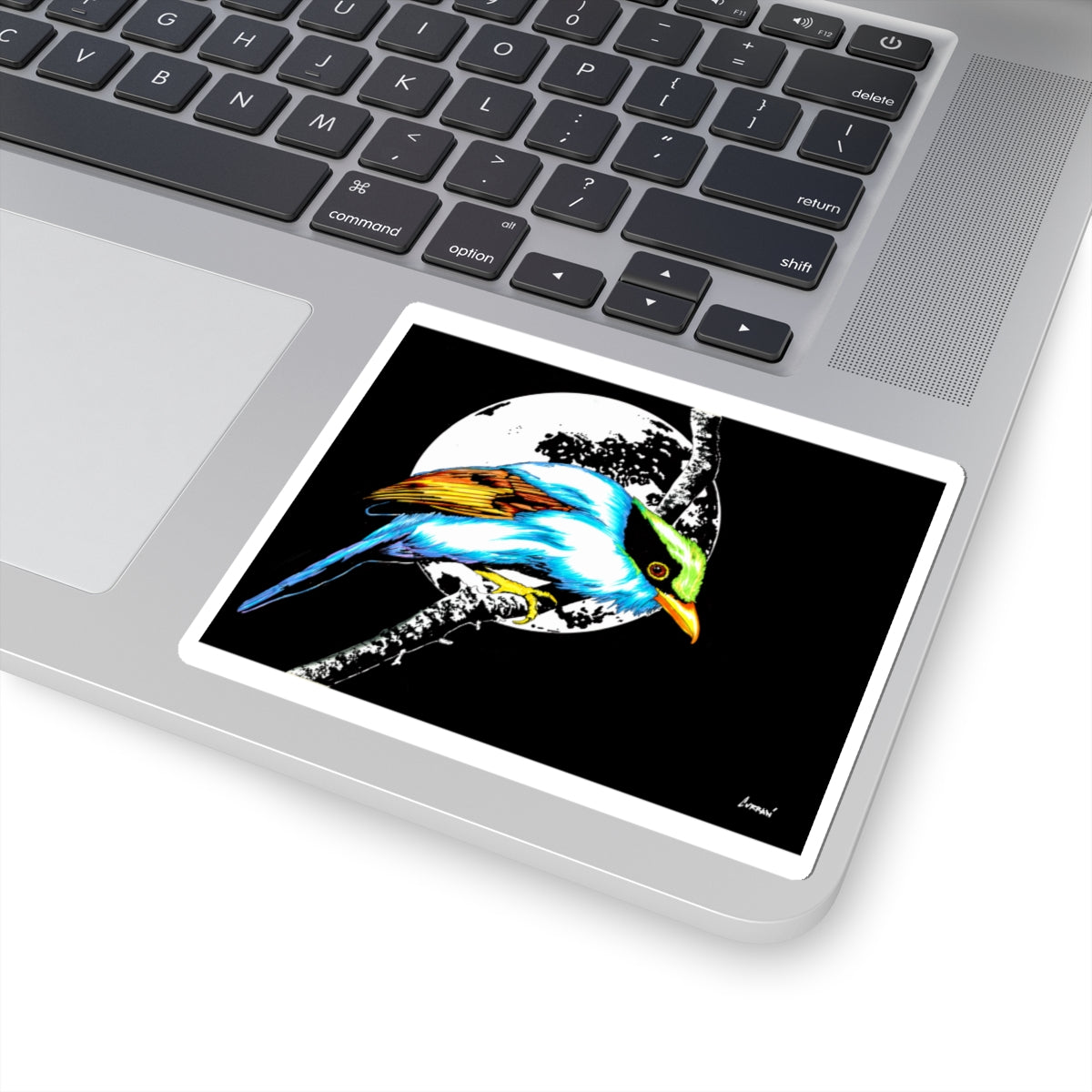 Vibrant Bird Moon Kiss-Cut Stickers - Perfect for Nature Lovers