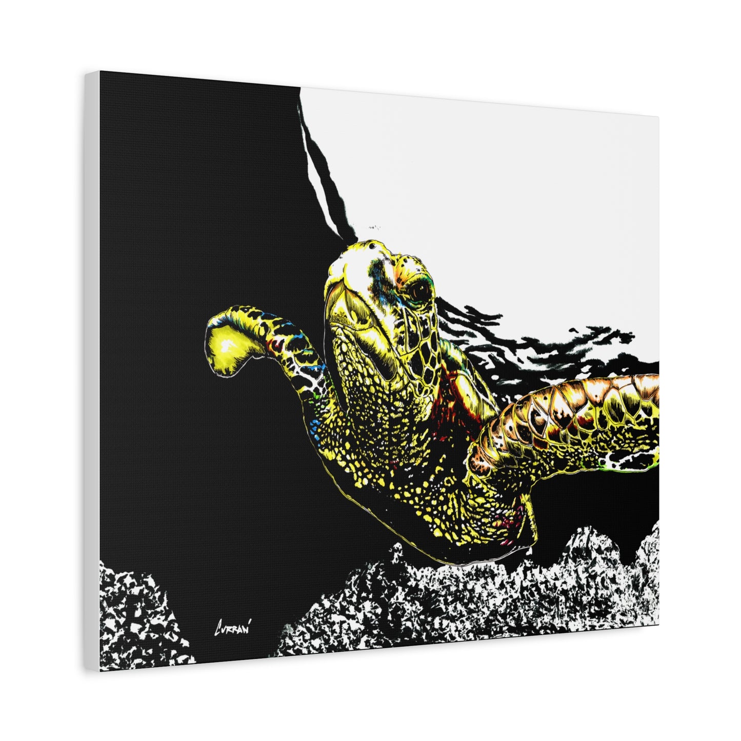 Sea Turtle Art Print of my Original hand drawn art printed on stretched canvas of a Sea Turtle
