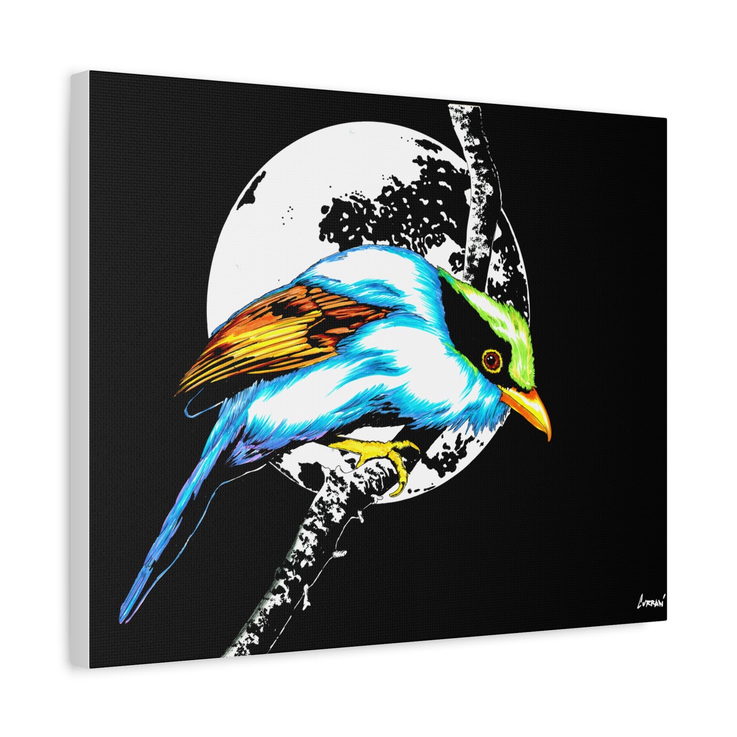 Exotic Bird Canvas Art – Original Hand-Drawn Vibrant,