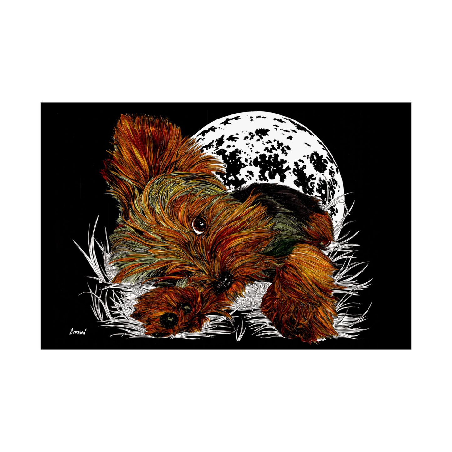 Yorkshire Terrier Satin Poster - 300gsm Art Print for Dog Lovers
