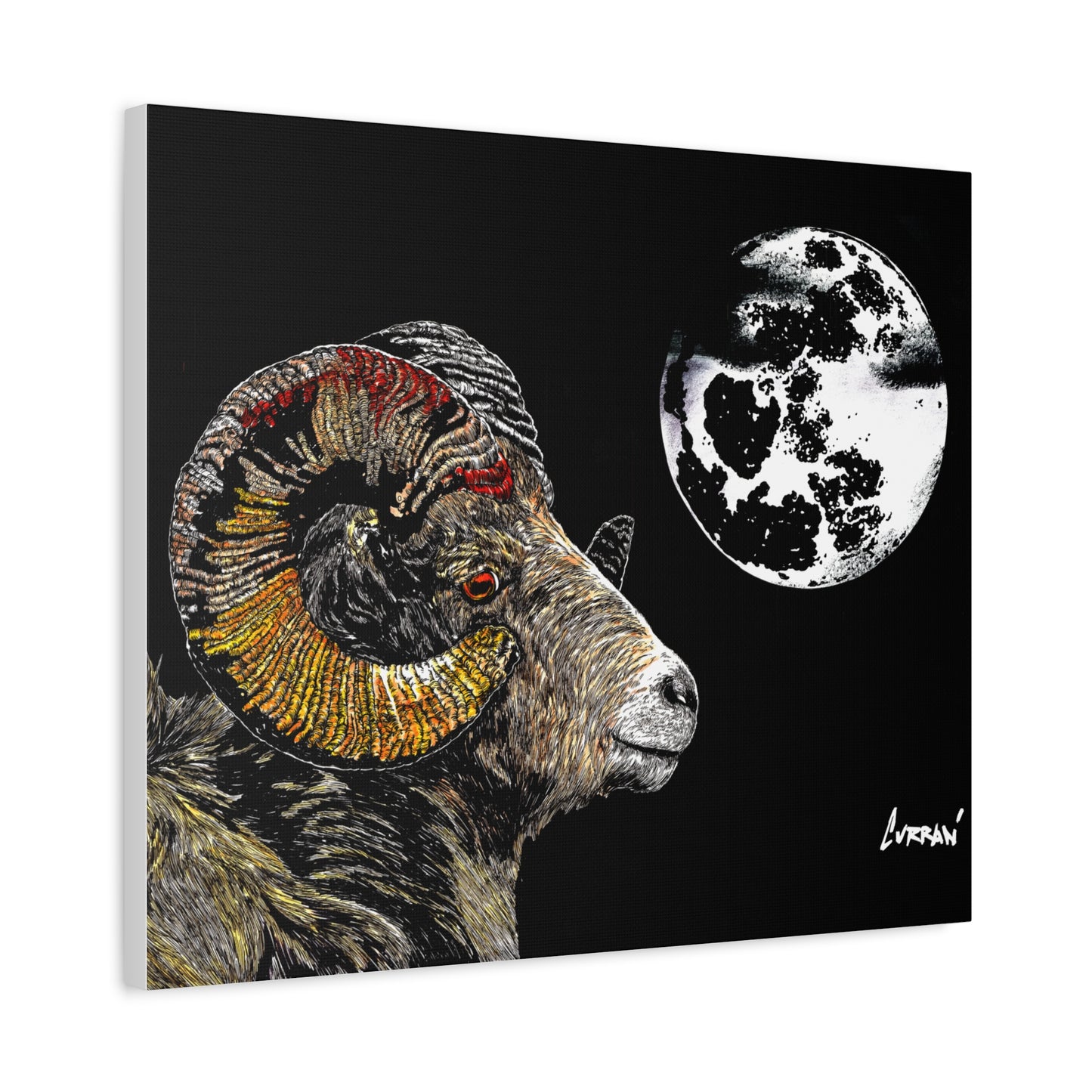 Mountain Ram Canvas Print - Art Print on Stretched Canvas