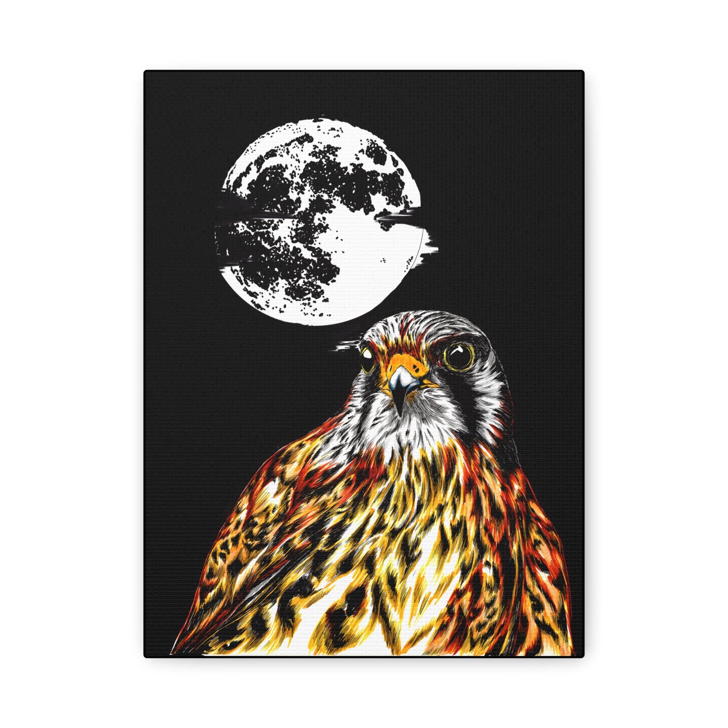 Falcon Wall Art, Falcon Print, Wildlife Art, Bird of Prey