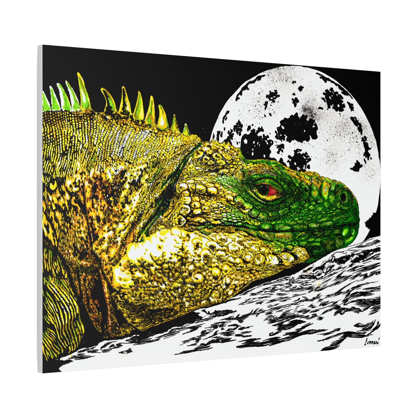 Reptile Art Print, Print of my Original hand drawn art printed on stretched canvas of a Reptile