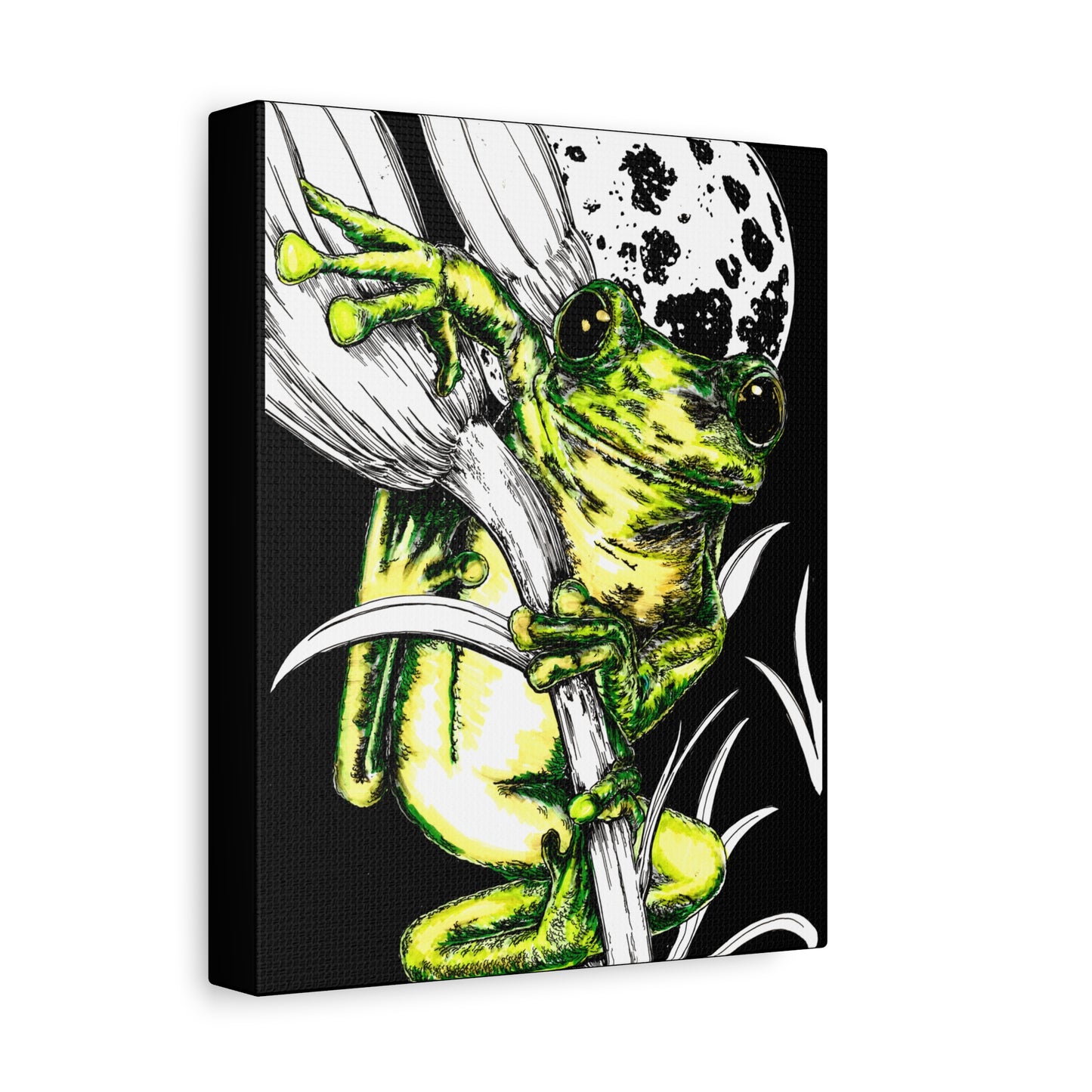 Frog 1 Wall Art Print of the Original, hand drawn wall art