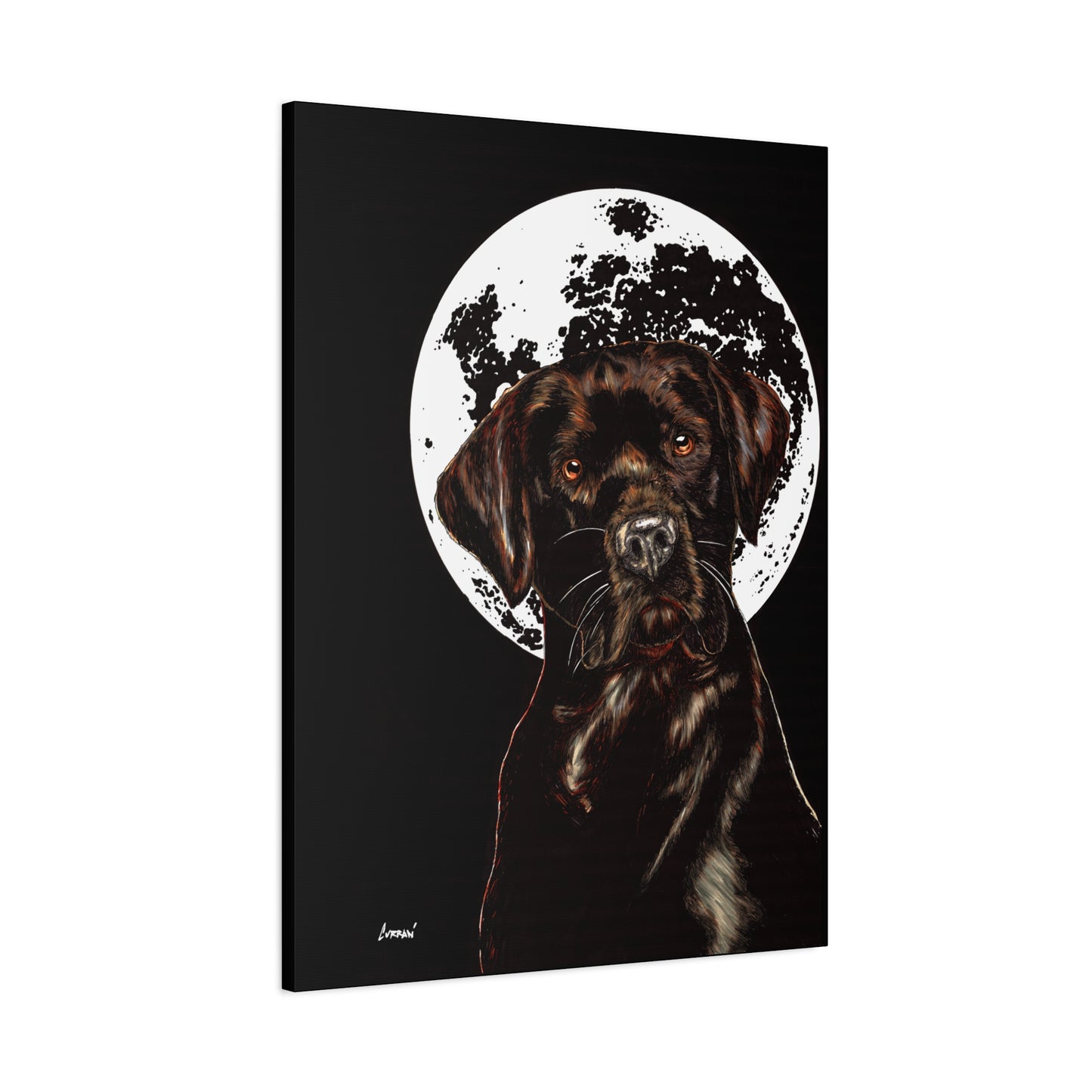 Chocolate Lab in Moonlight Wall Art Print of the Original