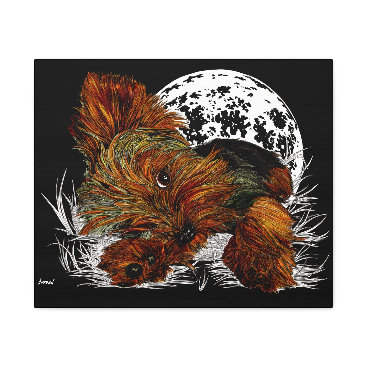 Yorkie Terrier Canvas Print - Cozy Yorkie with Moon Design