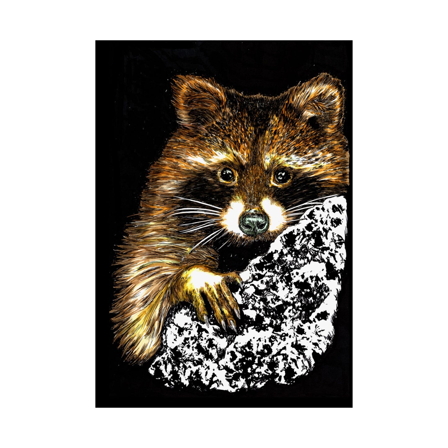 Raccoon Wildlife Satin Poster - Hand-Drawn Raccoon Art Print (300gsm)