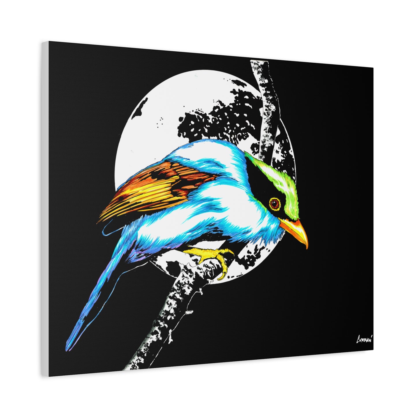 Exotic Bird Canvas Art – Original Hand-Drawn Vibrant,