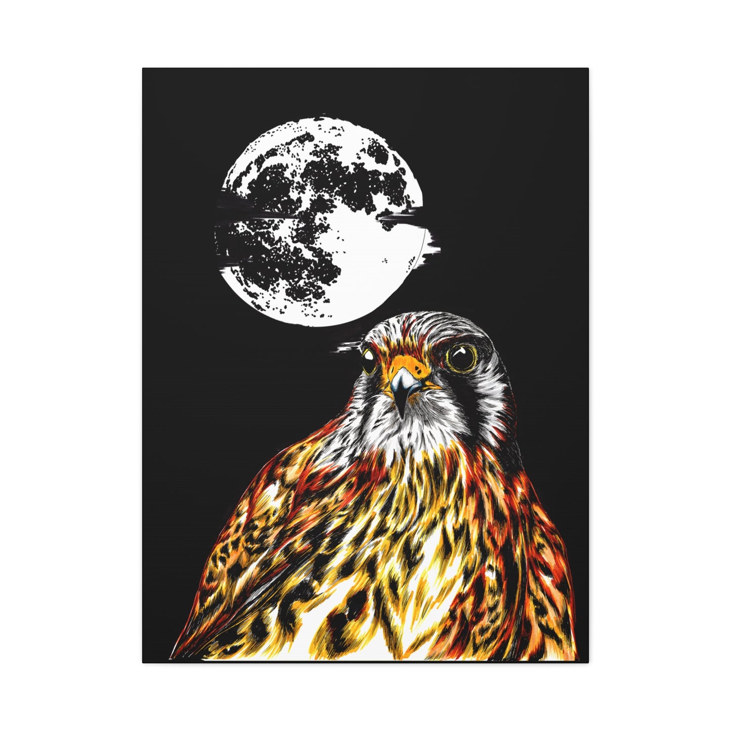 Falcon Wall Art, Falcon Print, Wildlife Art, Bird of Prey