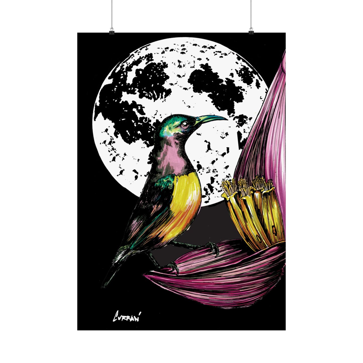 Vibrant Bird Satin Poster - 300gsm Art Print for Nature Lovers