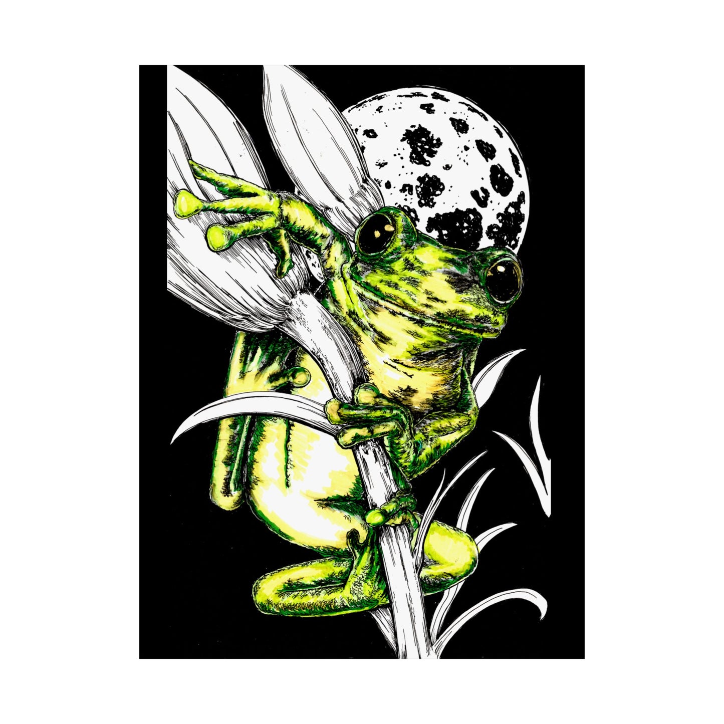 Whimsical Frog Satin Poster - Vibrant Wall Art for Nature Lovers