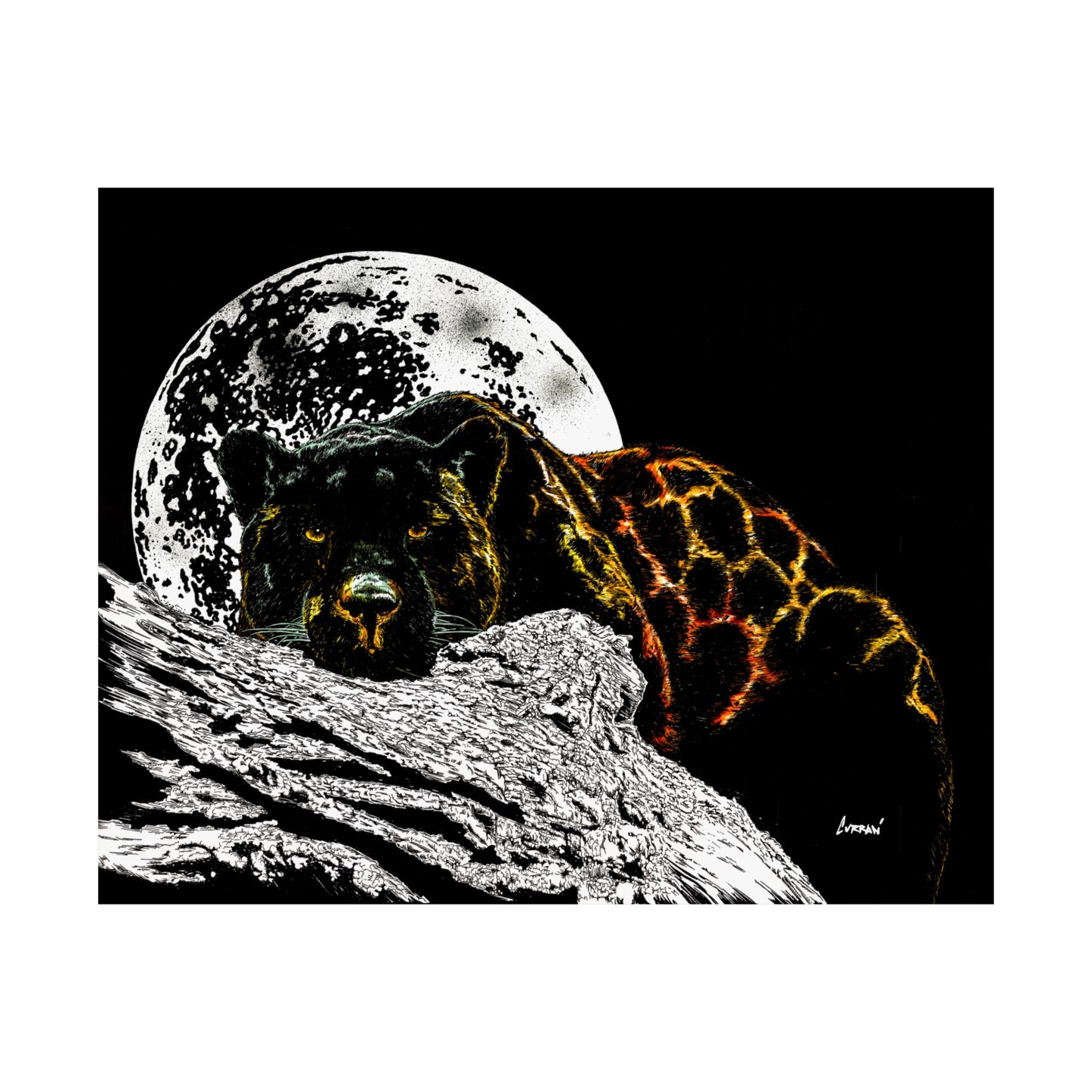 Majestic Bear Satin Poster - Night Moon Art Print (300gsm)