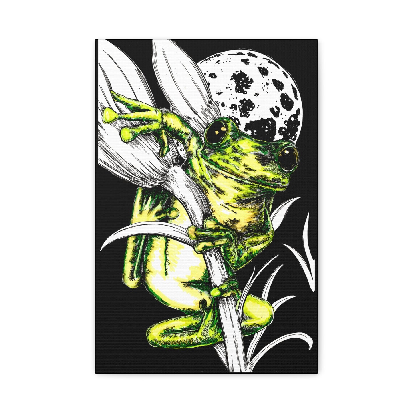 Frog 1 Wall Art Print of the Original, hand drawn wall art