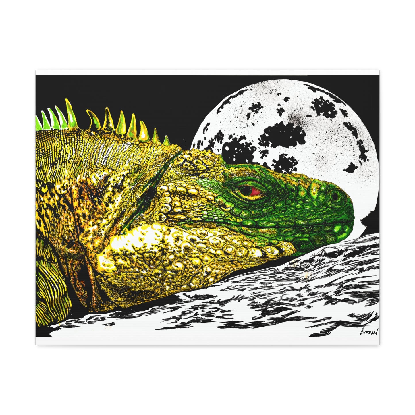 Reptile Art Print, Print of my Original hand drawn art printed on stretched canvas of a Reptile
