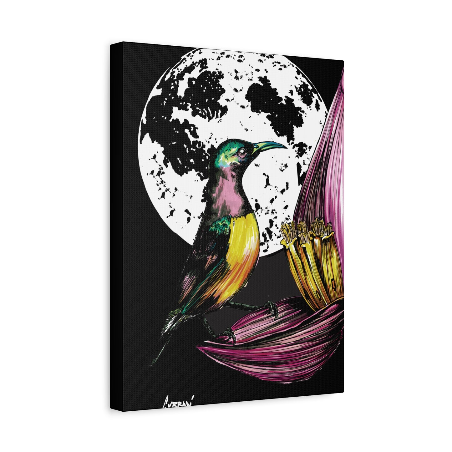 Hummingbird Wall Art Print of the Original, hand drawn