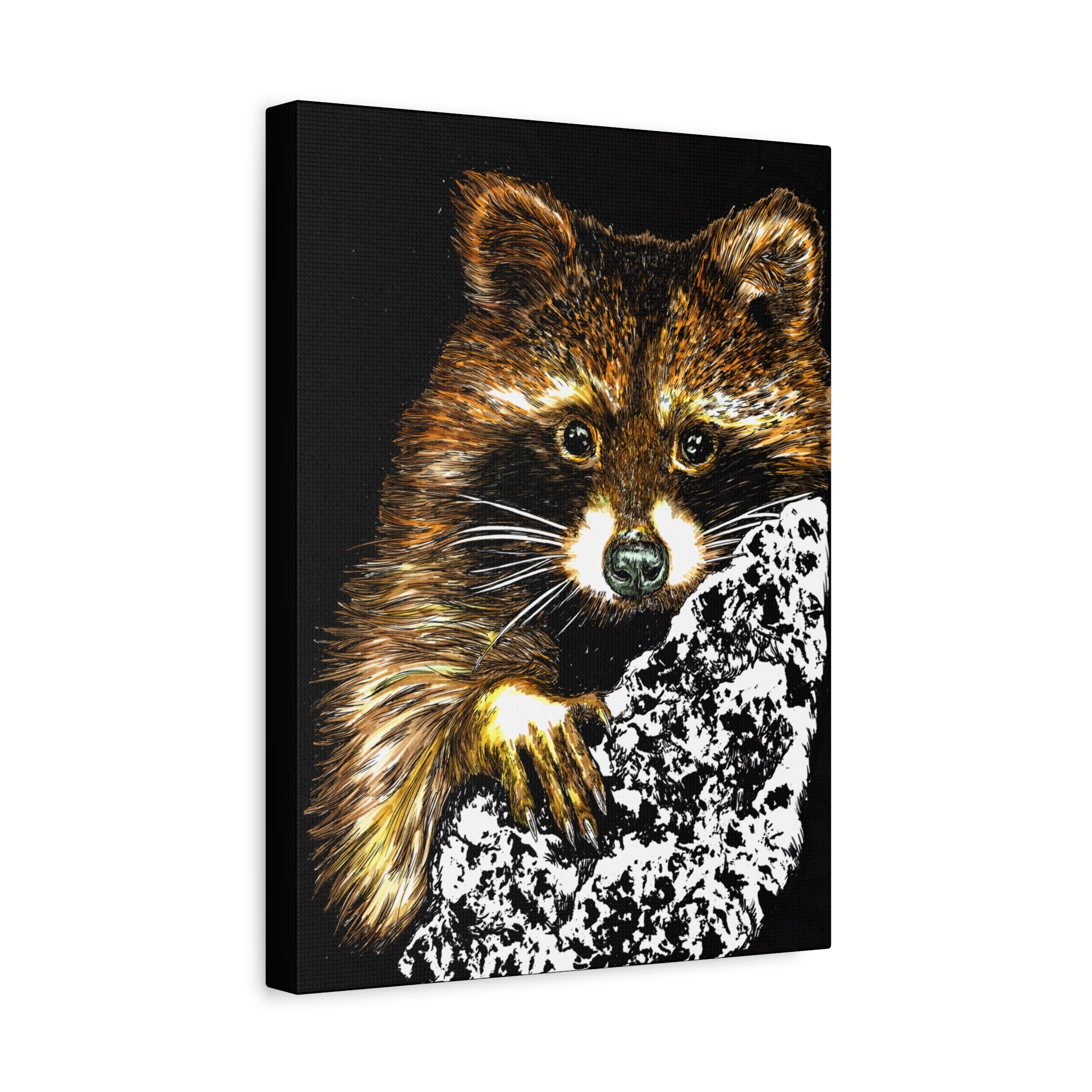 Raccoon in Tree Wall Art Canvas Print of the Original, hand drawn animal wall art poster of a Raccoon in a Tree by artist Kris Curran at Curran Artworks.