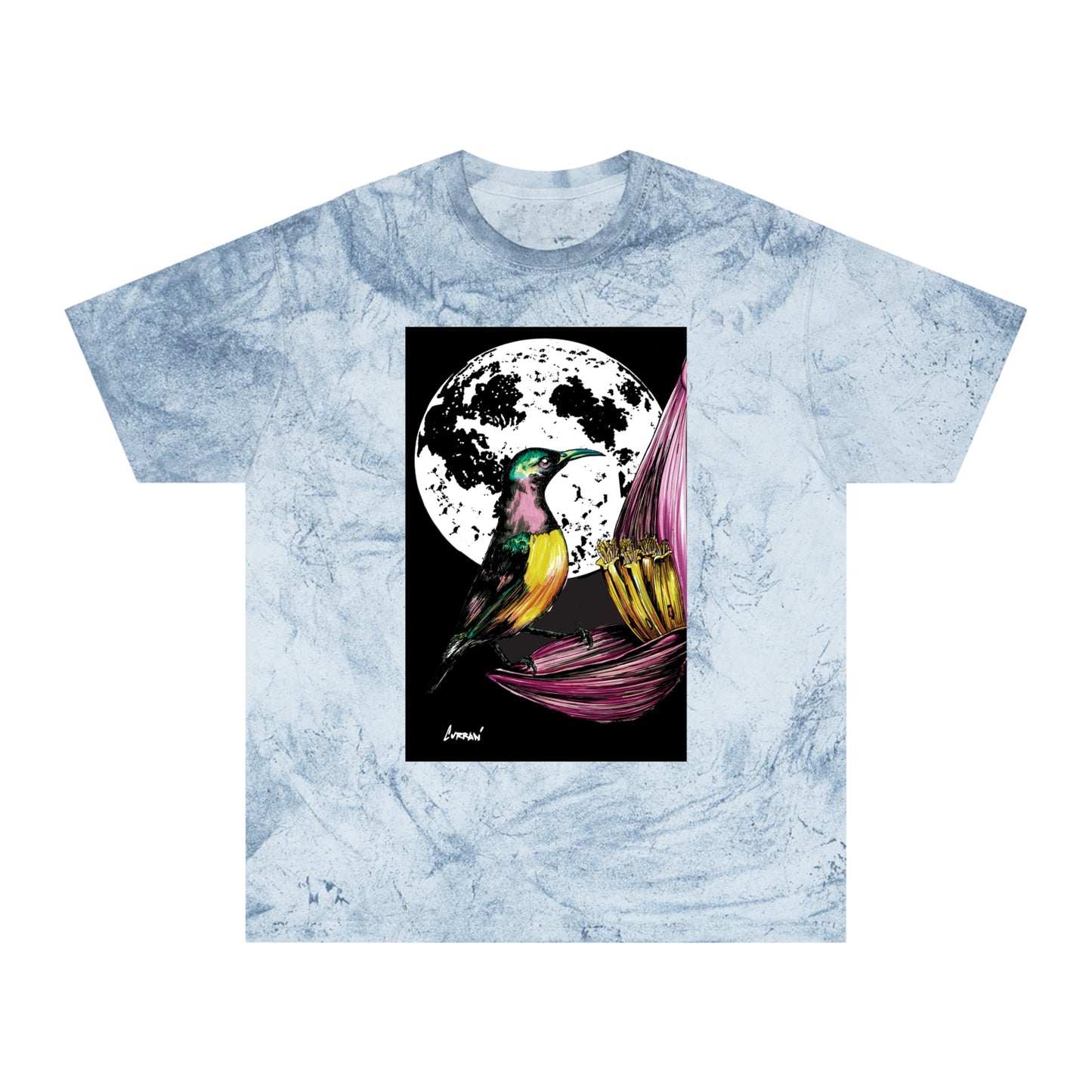Colorful Hummingbird Art Unisex T Shirt Nature Design