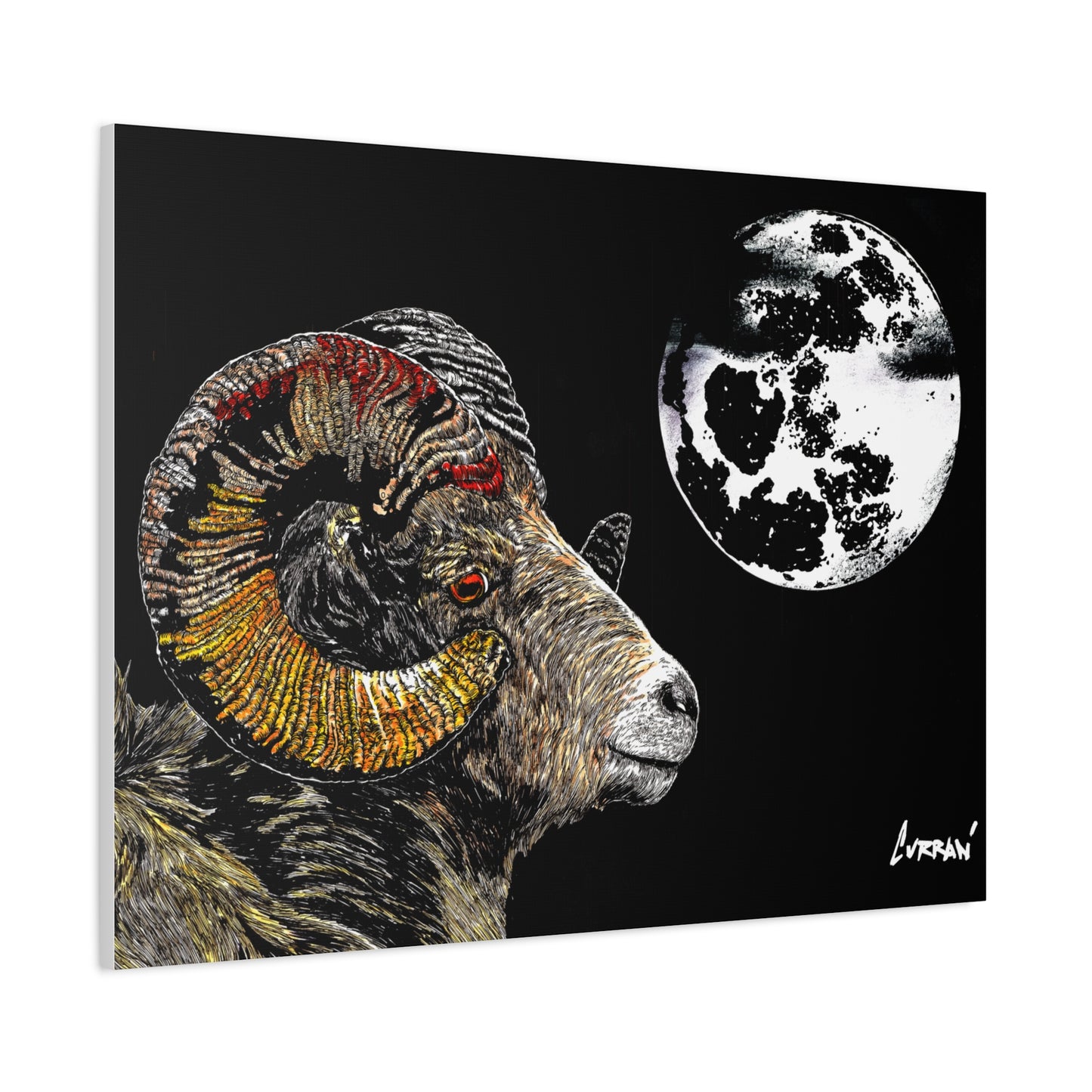 Mountain Ram Canvas Print - Art Print on Stretched Canvas