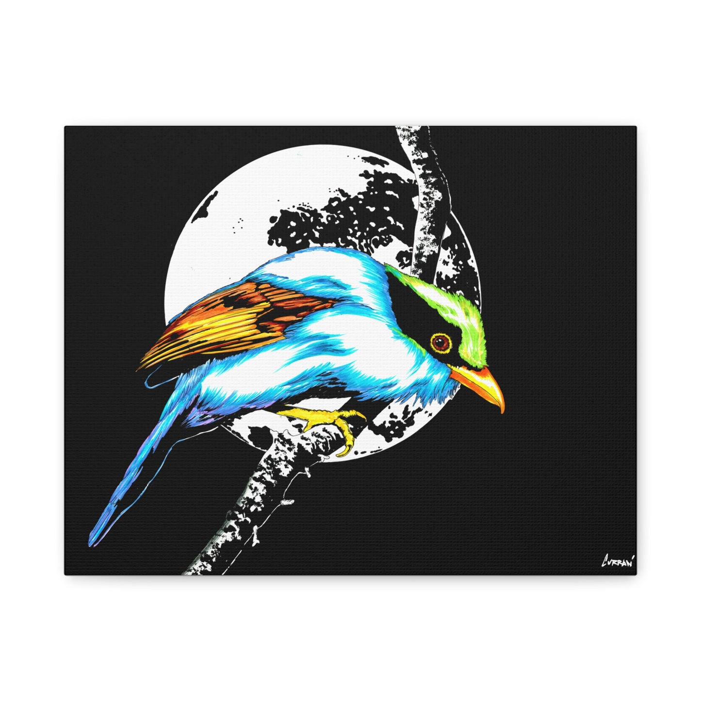 Exotic Bird Canvas Art – Original Hand-Drawn Vibrant,