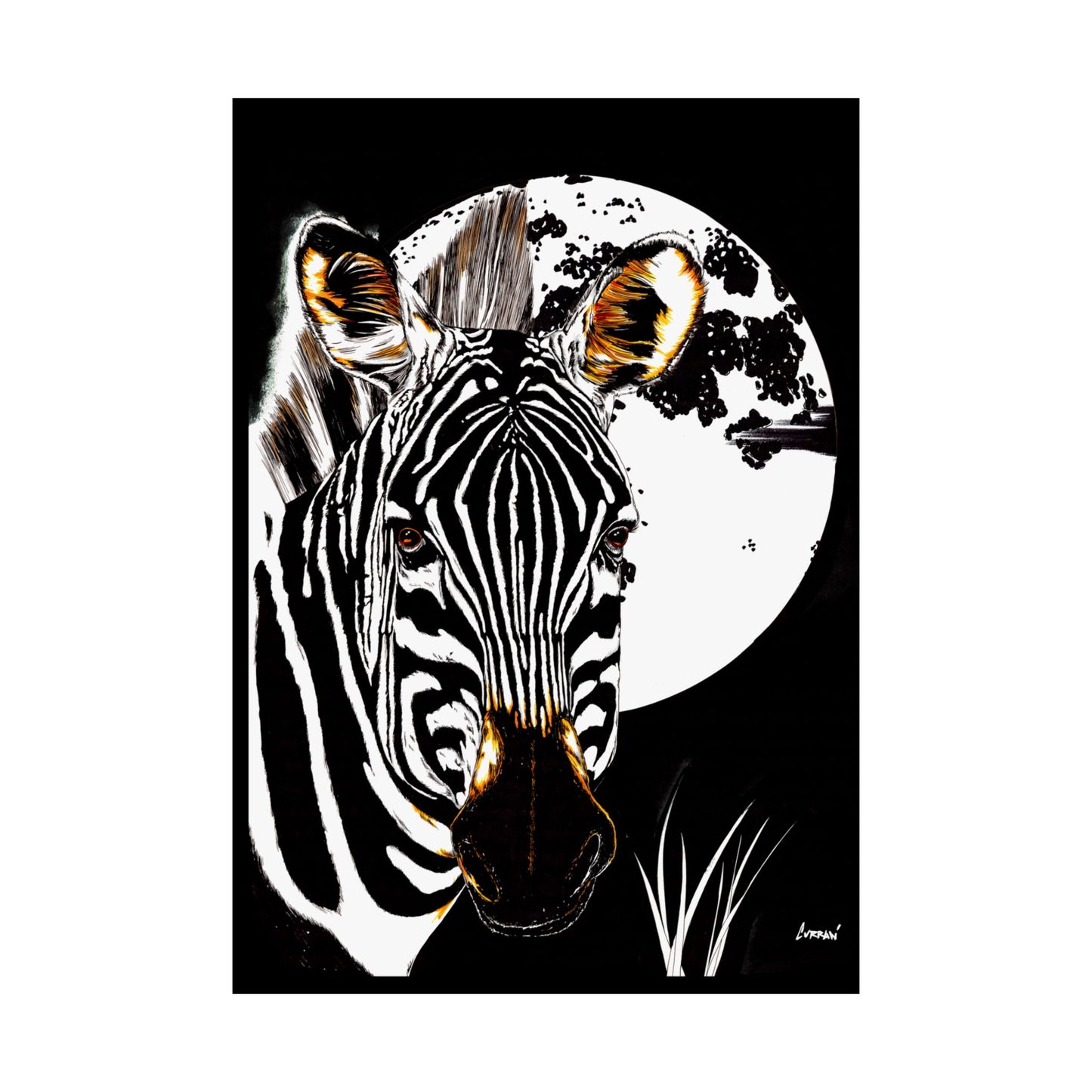 Zebra Satin Poster - Art Print Poster of the Original Art
