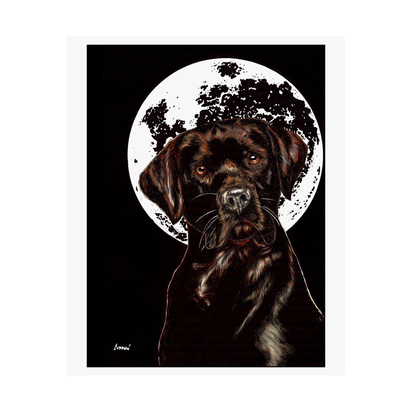 Chocolate Lab Dog Moonlight Satin Poster
