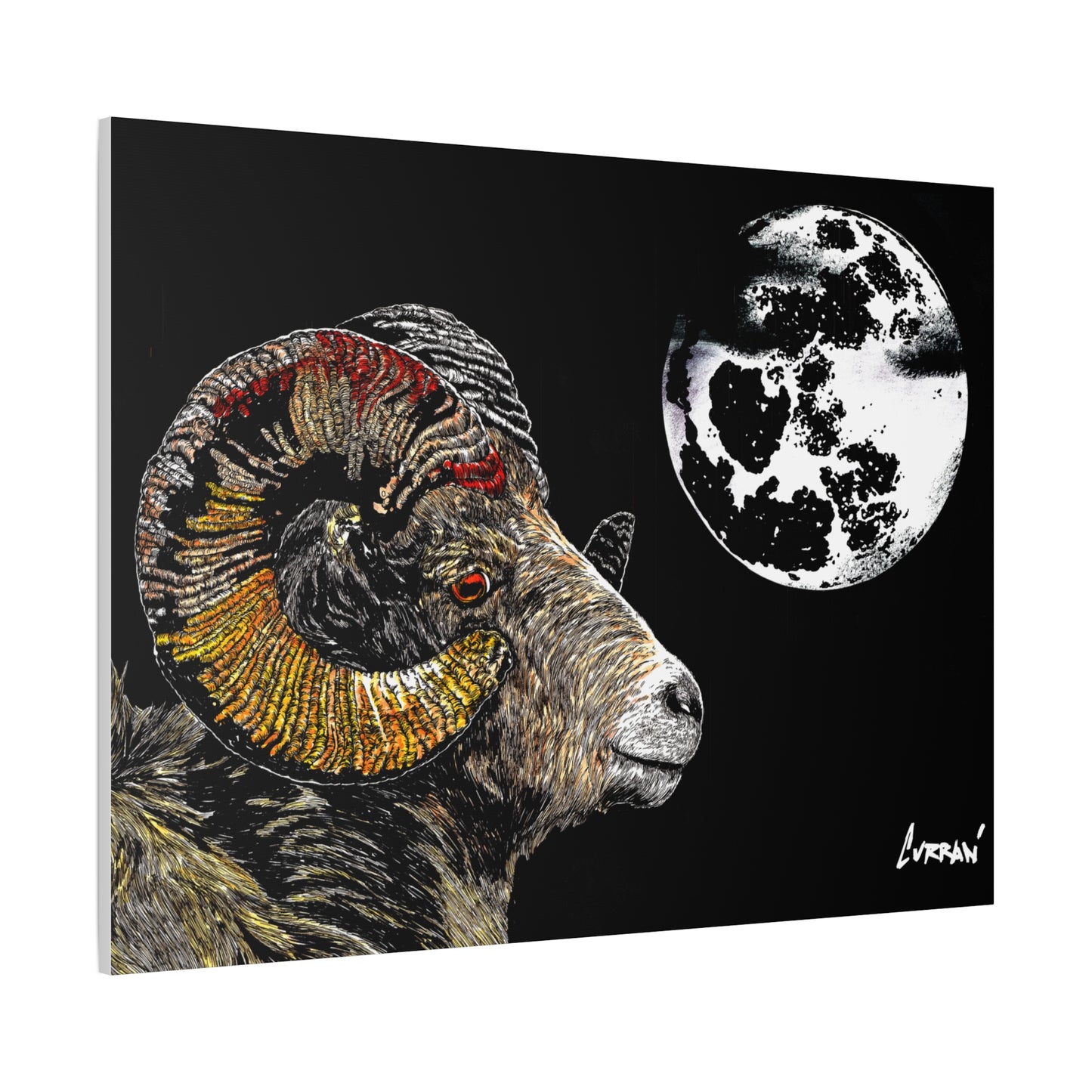 Mountain Ram Canvas Print - Art Print on Stretched Canvas